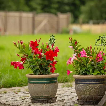 Hinter'm Landliebe Luxurioeser Wintergarten Kacheloefen * Hintersee
