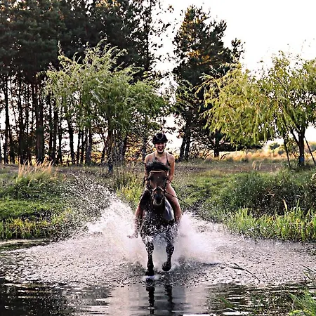 Hinter'm Landliebe Luxurioeser Wintergarten Kacheloefen Hintersee