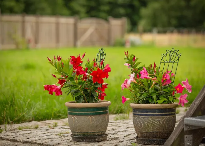 Hinter'm Landliebe Luxurioeser Wintergarten Kacheloefen * Hintersee