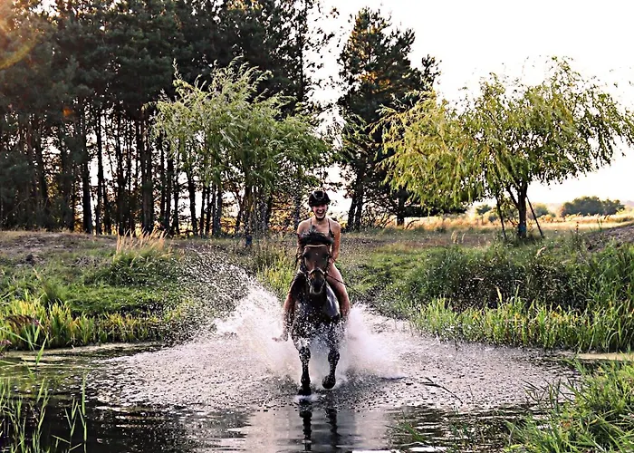 Hinter'm Landliebe Luxurioeser Wintergarten Kacheloefen Hintersee